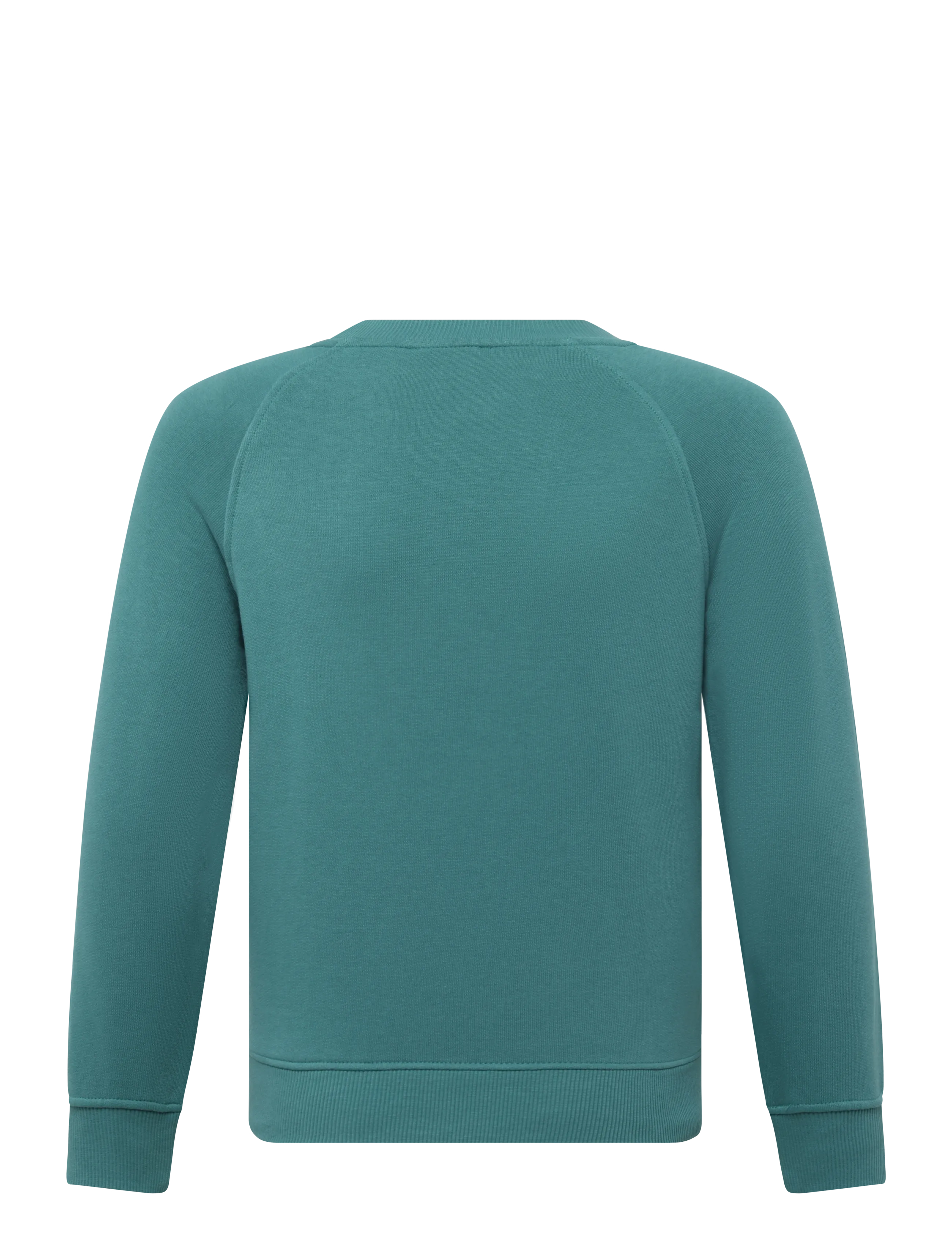 United Colors of Benetton - SWEATER L/S - sweatshirts - green - 1