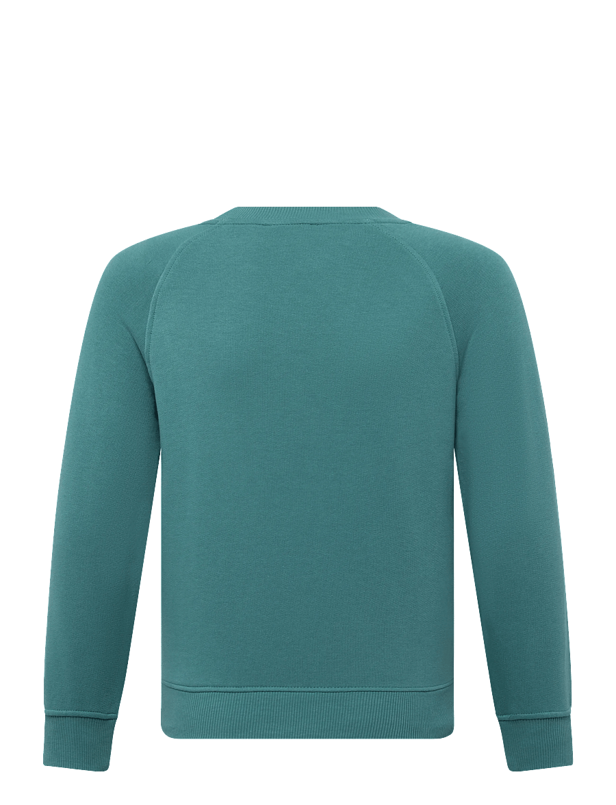 United Colors of Benetton - SWEATER L/S - sweatshirts - green - 1