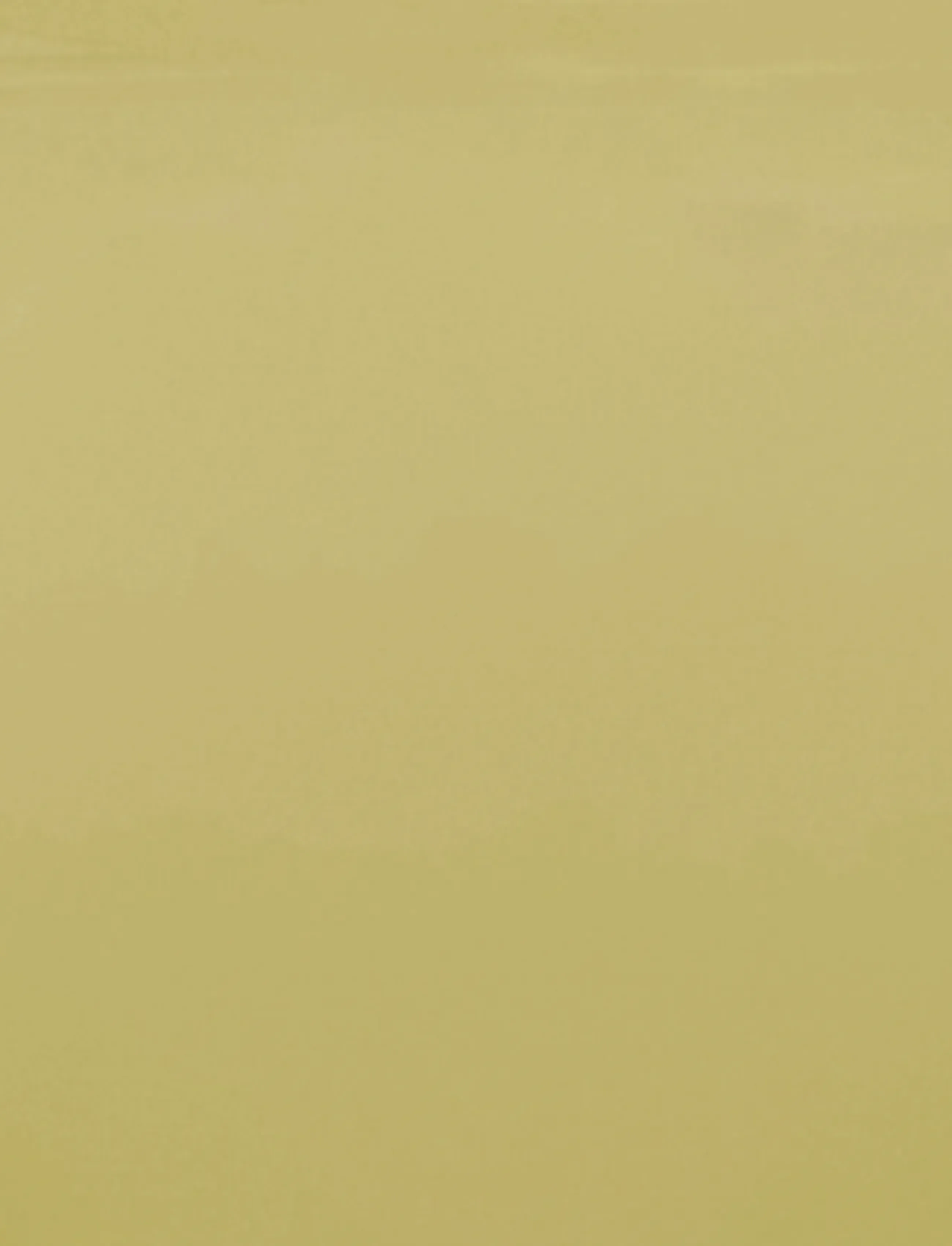 Urban Nature Culture - Urban Nature Culture vase Tummy B olive oil - vasen - olive green - 2