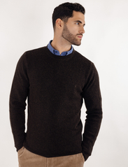 Urban Pioneers - Hasse Sweater - knitted round necks - coffee - 2