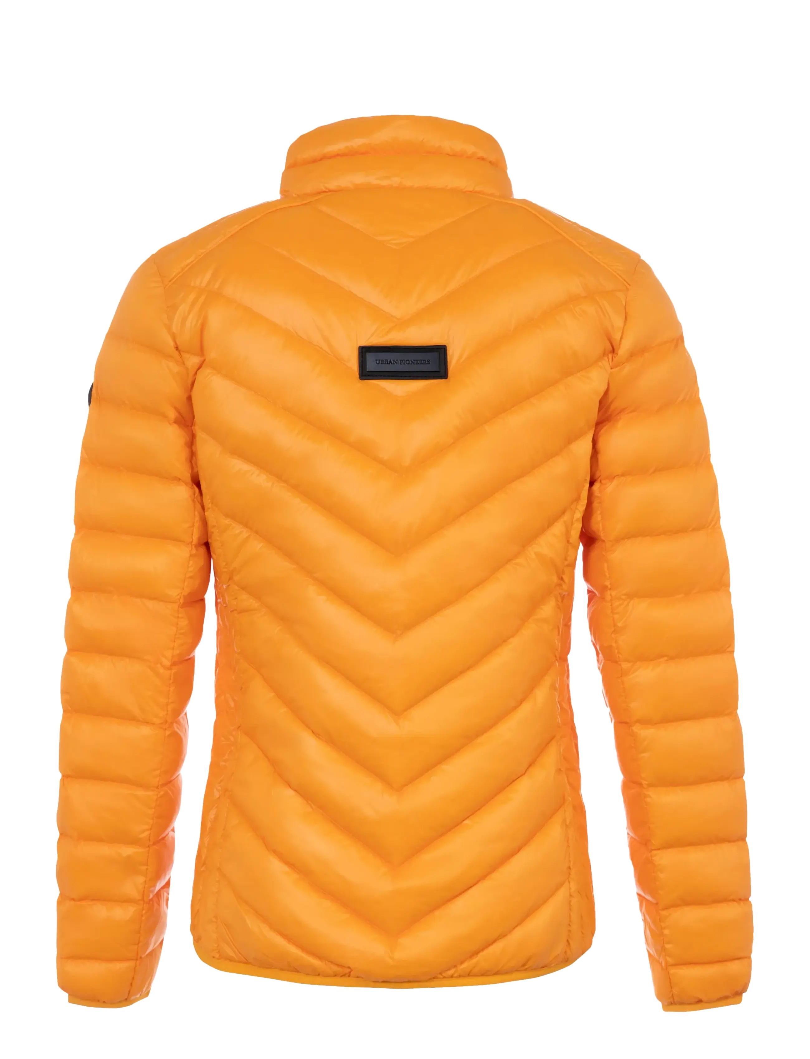 Ally Jacket 2