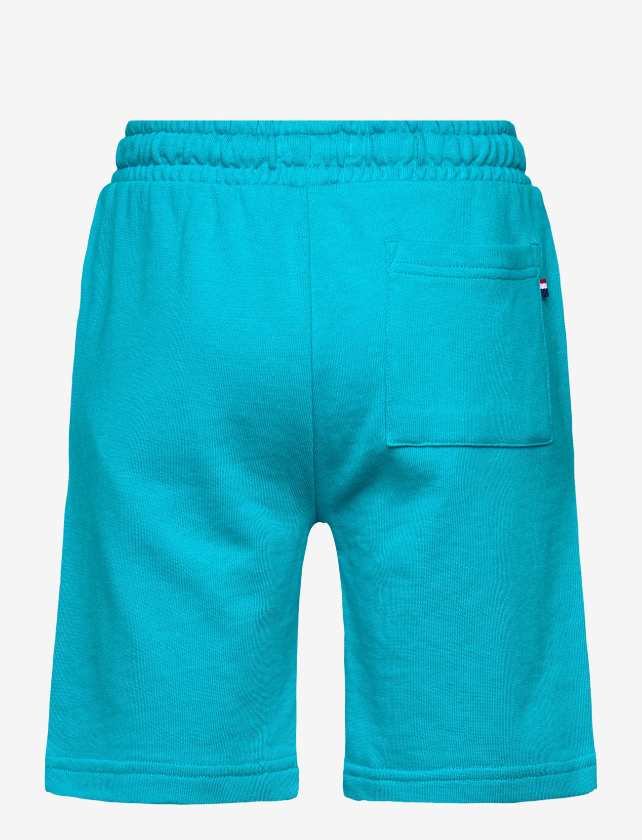 U.S. Polo Assn. - Player 3 Sweat Short - sweat shorts - caribbean sea - 1