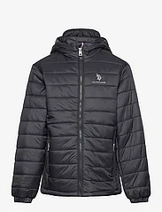 U.S. Polo Assn. - USPA Hooded Quilted Jacket - dunjakker og fôrede jakker - black - 0