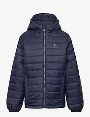 U.S. Polo Assn. - USPA Hooded Quilted Jacket - puffer & padded - navy blazer - 0