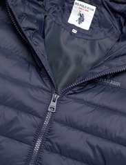 U.S. Polo Assn. - USPA Hooded Quilted Jacket - puffer & padded - navy blazer - 2