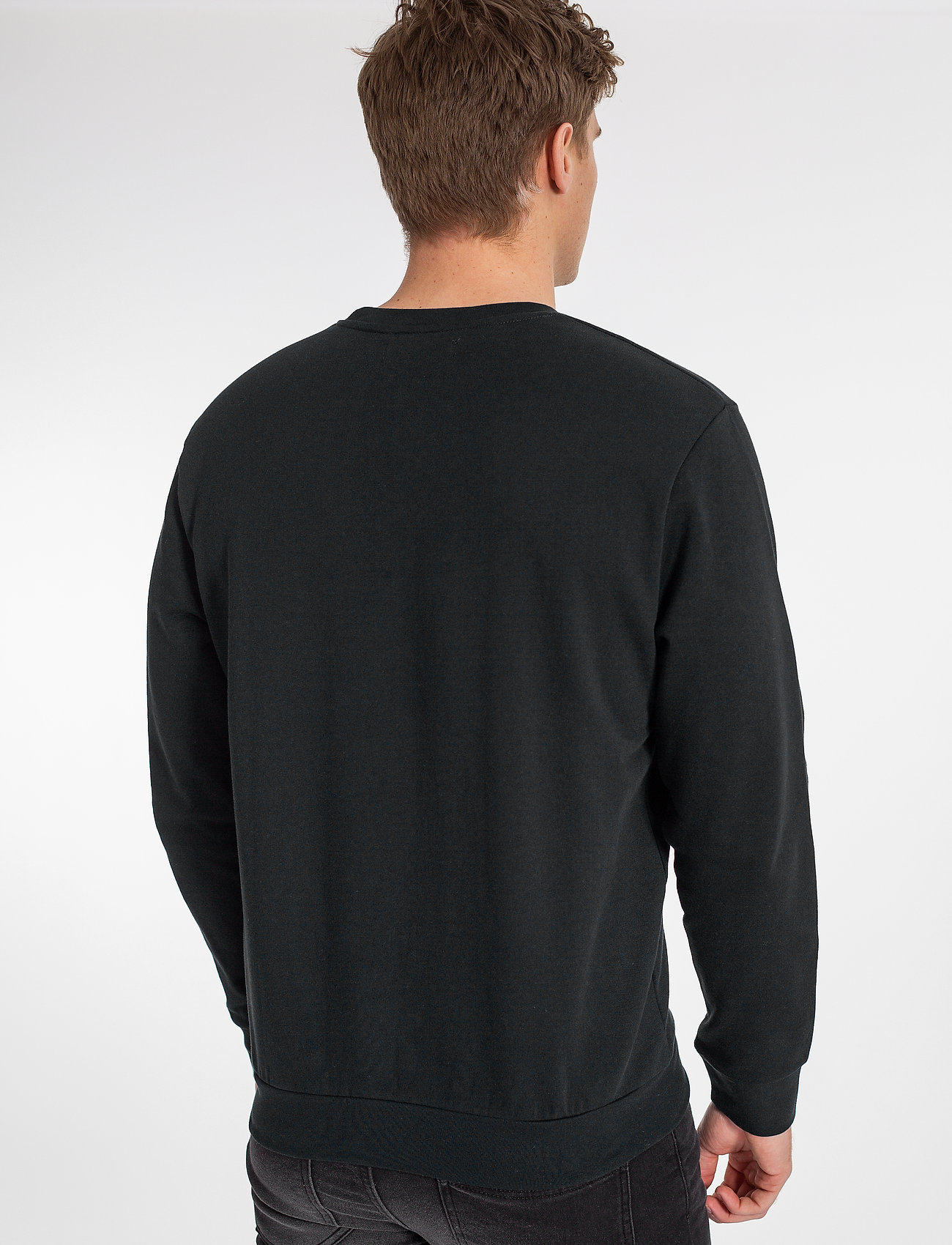 U.S. Polo Assn. - USPA Sweat O Neck Adler Men - collections - tap shoe - 3