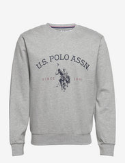 USPA Sweatshirt Brant Men - GREY MELANGE