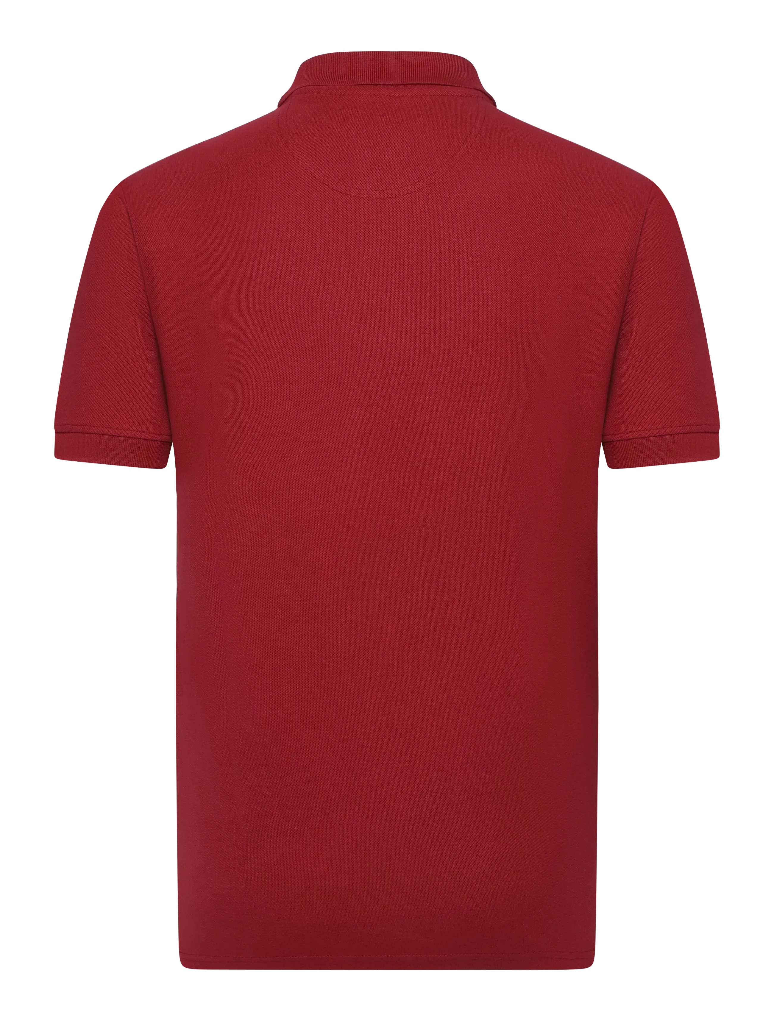 Uspa Polo Alfred Men 2