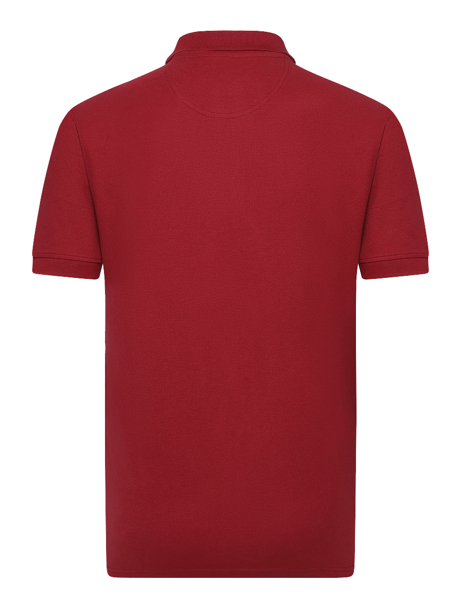 U.S. Polo Assn. - USPA Polo Alfred Men - kortærmede poloer - 19-1934tcx tibetan red - 1