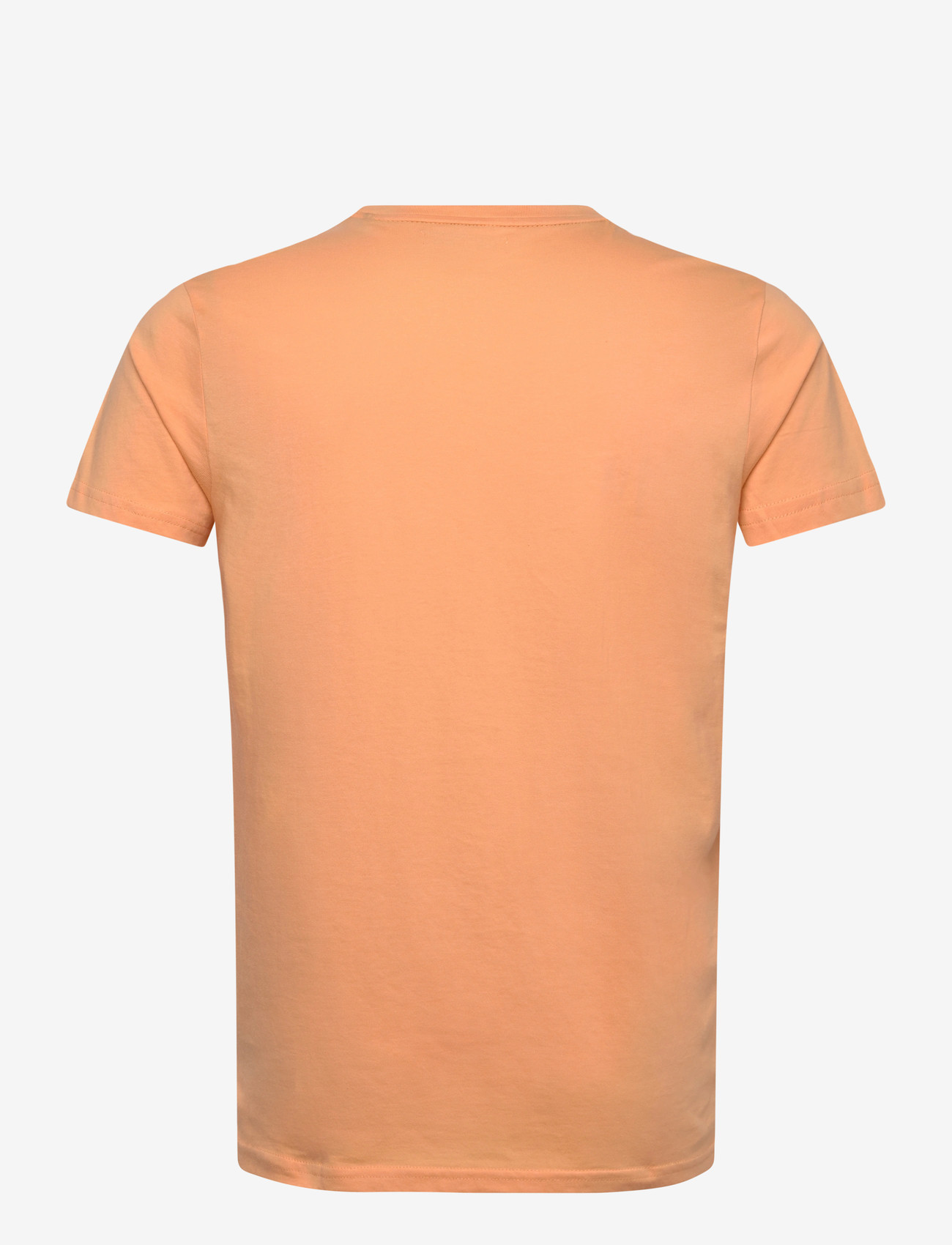U.S. Polo Assn. - USPA T-Shirt Arjun Men - lühikeste varrukatega t-särgid - 14-1231tcx peach cobbler - 2
