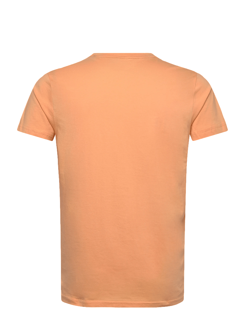 U.S. Polo Assn. - USPA T-Shirt Arjun Men - kurzärmelig - 14-1231tcx peach cobbler - 2