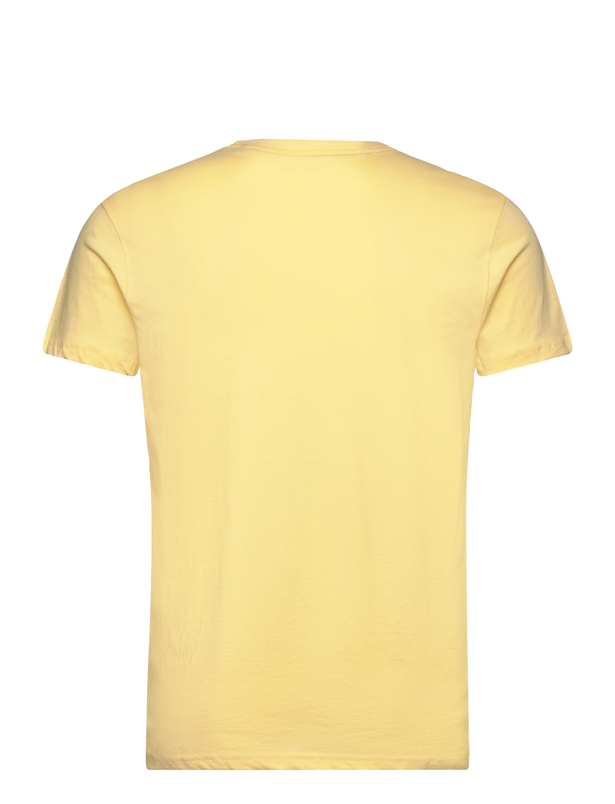 U.S. Polo Assn. - USPA T-Shirt Arjun Men - kortærmede t-shirts - pale banana - 1