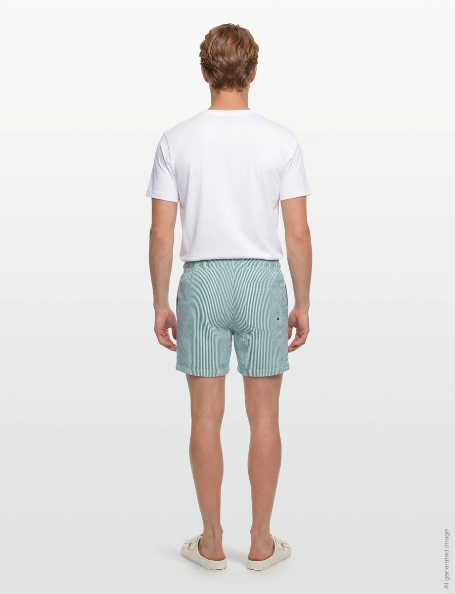 U.S. Polo Assn. - USPA SwimShorts Briggs Men - badehose - mediterranea - 4