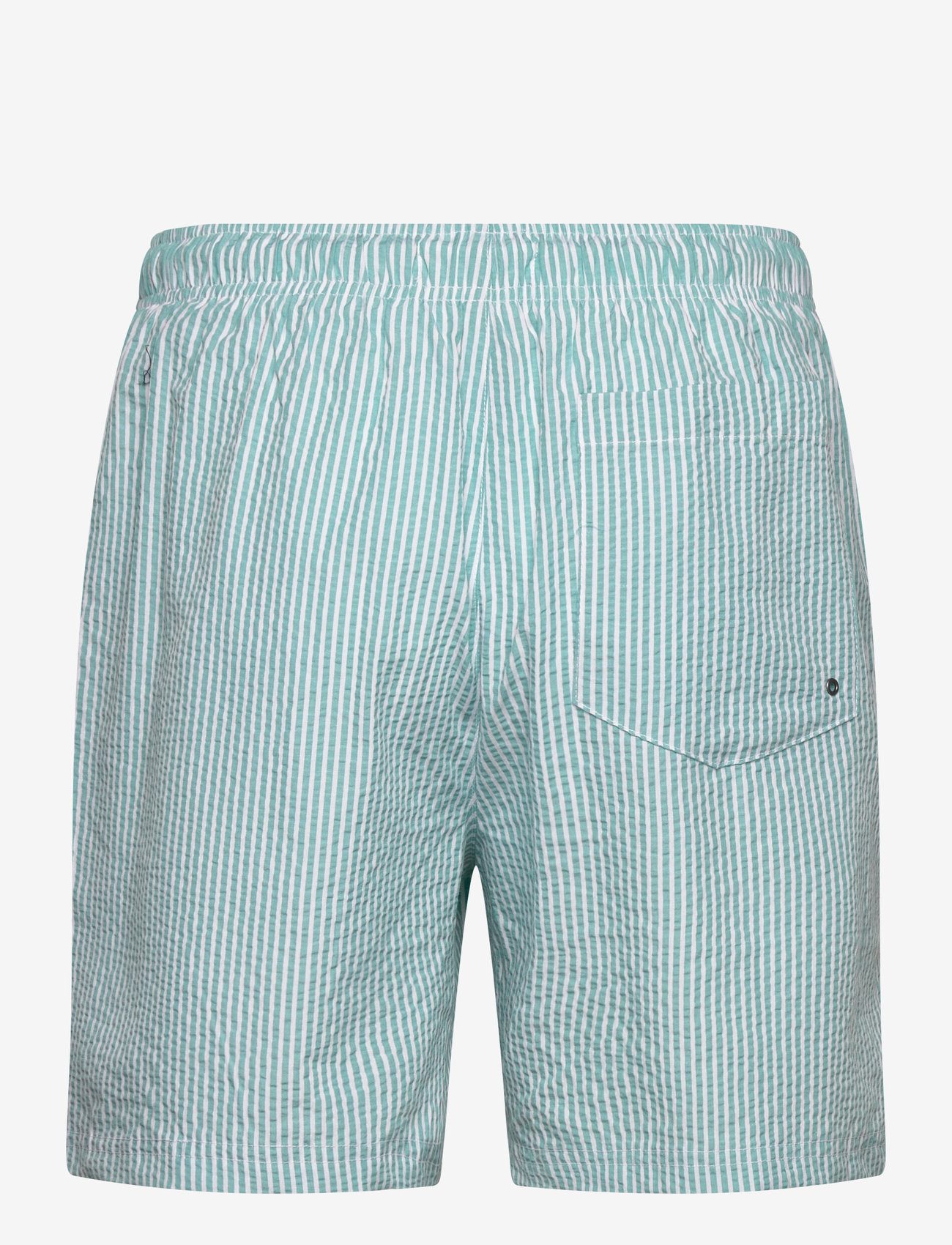 U.S. Polo Assn. - USPA SwimShorts Briggs Men - badehose - pool blue - 1