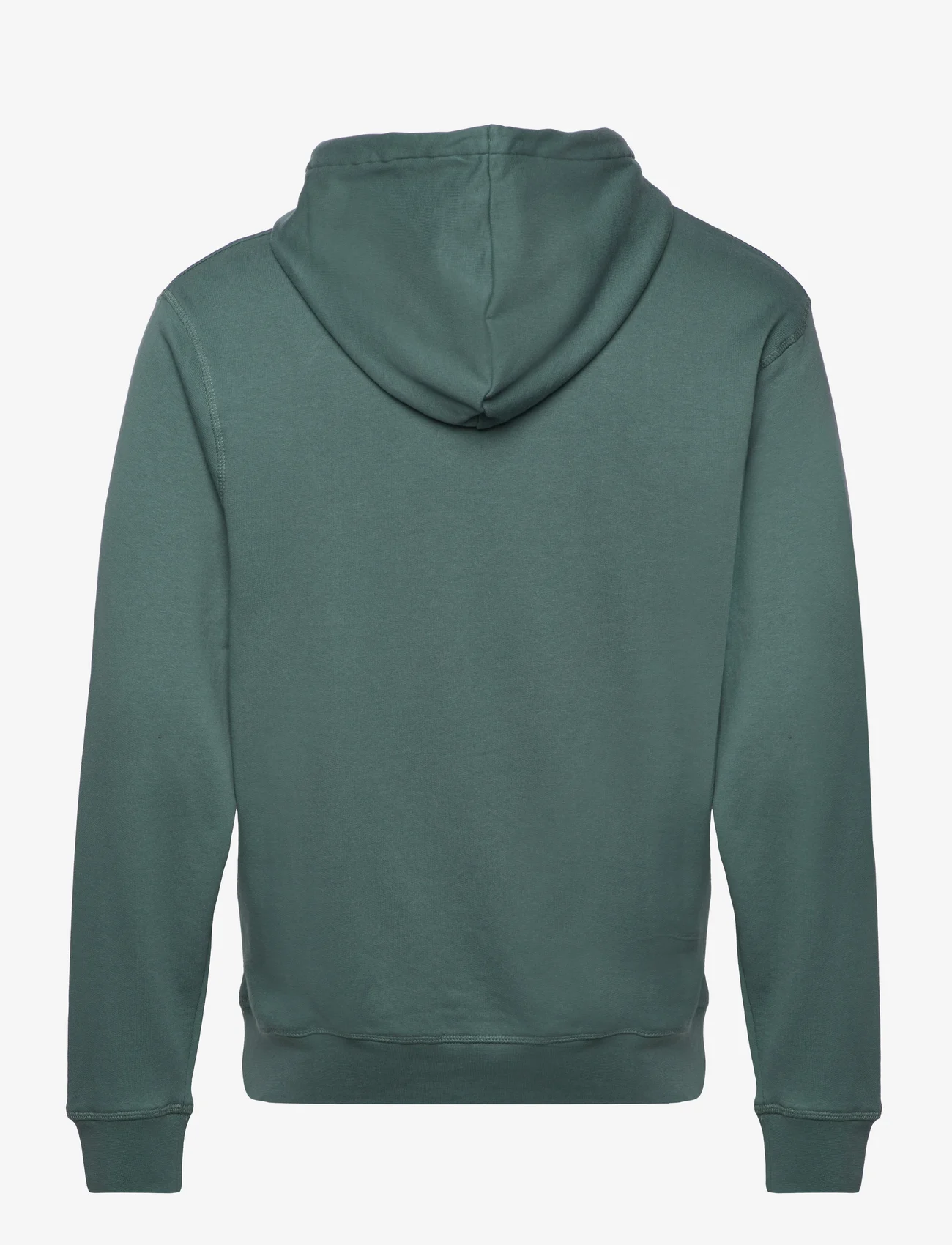 U.S. Polo Assn. - USPA Sweatshirt Carl Men - hoodies - silver pine - 1