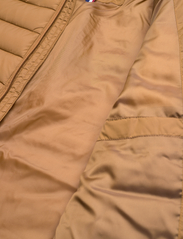 U.S. Polo Assn. - USPA Jacket Clas Men - Žieminės striukės - rubber - 4