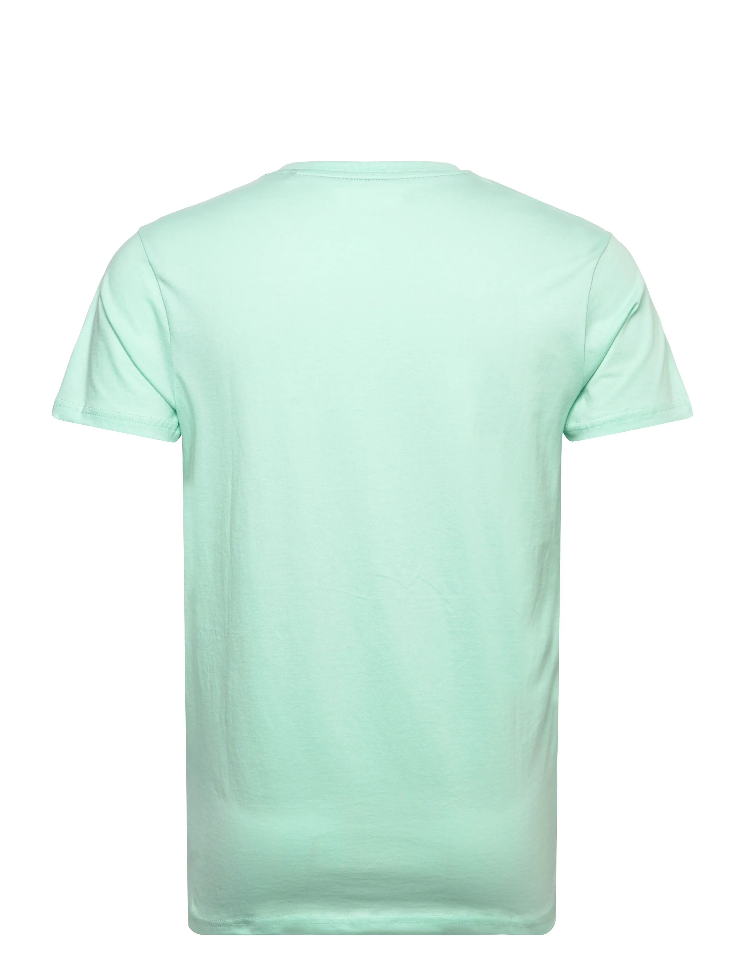 U.S. Polo Assn. - USPA T-Shirt V-Neck Cem Men - t-shirts med v-hals - 13-5409tcx yucca - 2