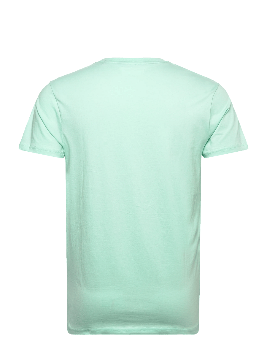 U.S. Polo Assn. - USPA T-Shirt V-Neck Cem Men - t-shirts mit v-ausschnitt - 13-5409tcx yucca - 2