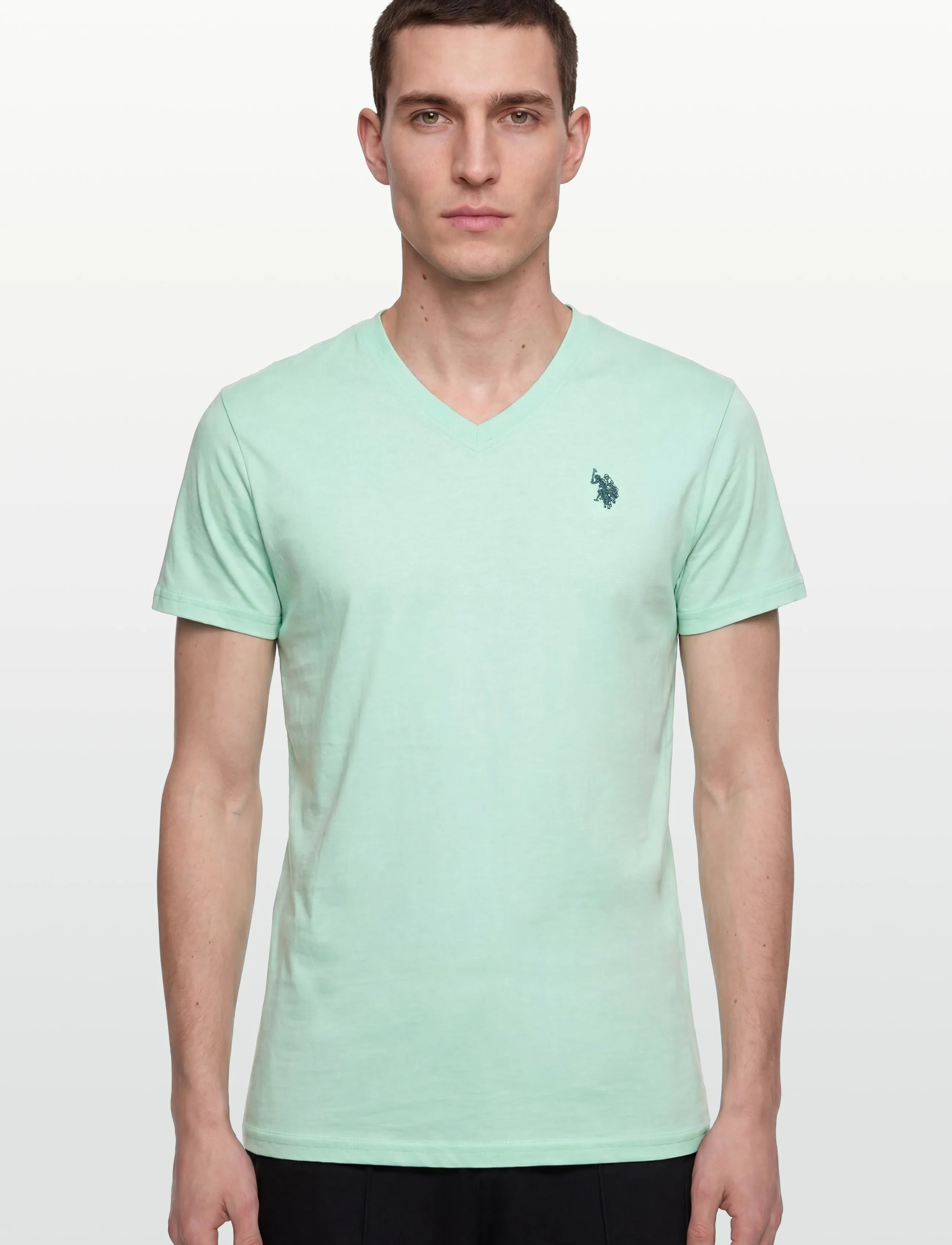 U.S. Polo Assn. - USPA T-Shirt V-Neck Cem Men - t-shirts med v-hals - 13-5409tcx yucca - 3