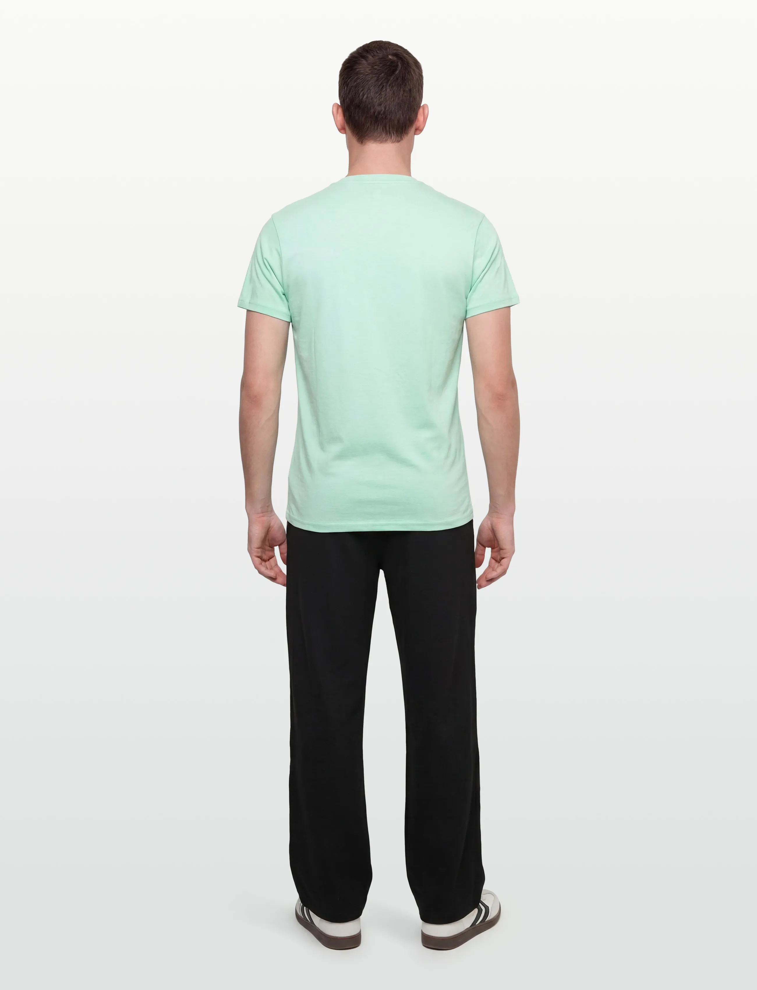 U.S. Polo Assn. - USPA T-Shirt V-Neck Cem Men - t-shirts med v-hals - 13-5409tcx yucca - 4