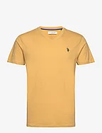 USPA T-Shirt V-Neck Cem Men - RATTAN