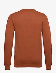 U.S. Polo Assn. - Clive Knit O-Neck - megzti laisvalaikio drabužiai - bombay brown - 1