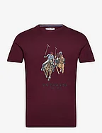 USPA T-Shirt Eivind Men - TAWNY PORT
