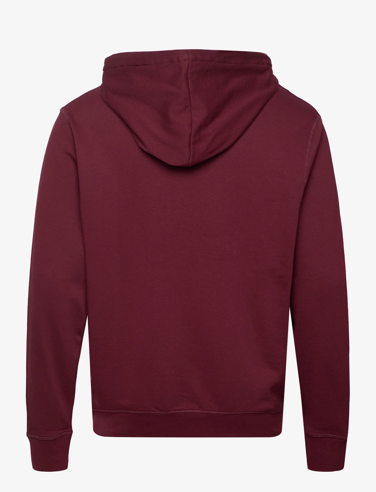 U.S. Polo Assn. - USPA Hood Sweater Elaf Men - hoodies - tawny port - 1