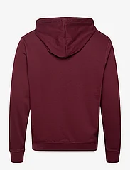 U.S. Polo Assn. - USPA Hood Sweater Elaf Men - kapuutsiga dressipluusid - tawny port - 1