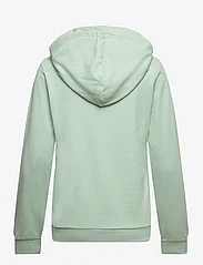 U.S. Polo Assn. - USPA Sweatshirt Carlina Women - hettegensere - frosty green - 1