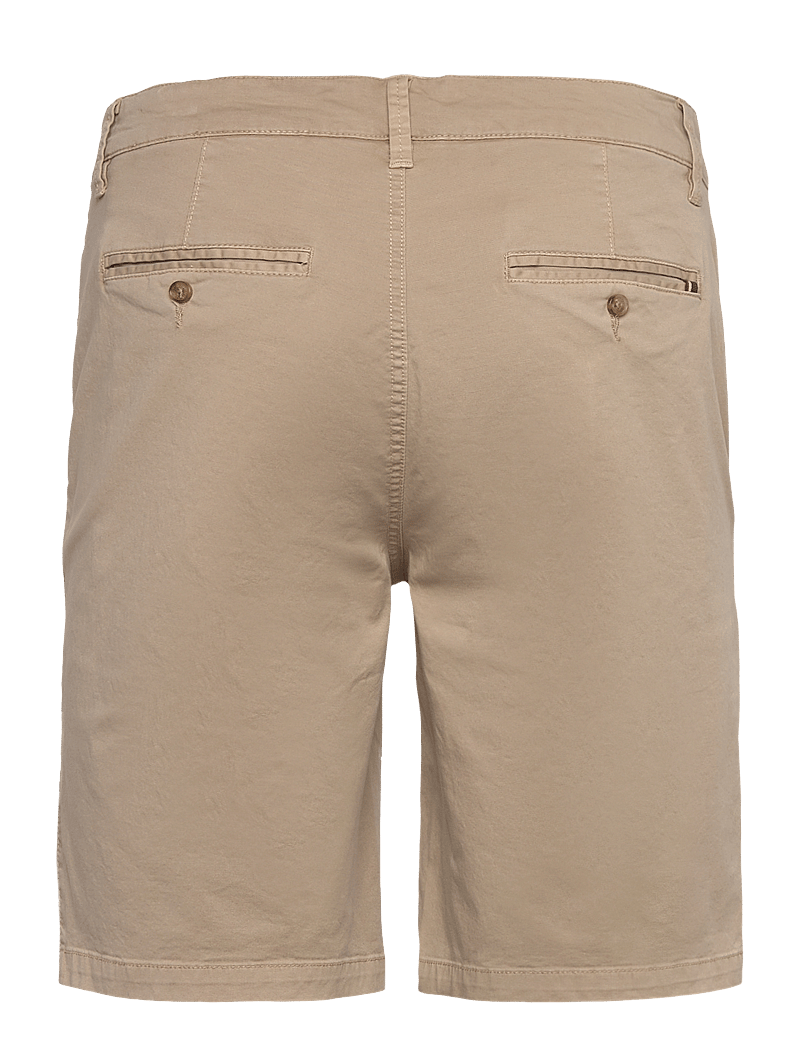 U.S. Polo Assn. - LASSE REG USPA M SHORTS - chinos shorts - crockery - 1