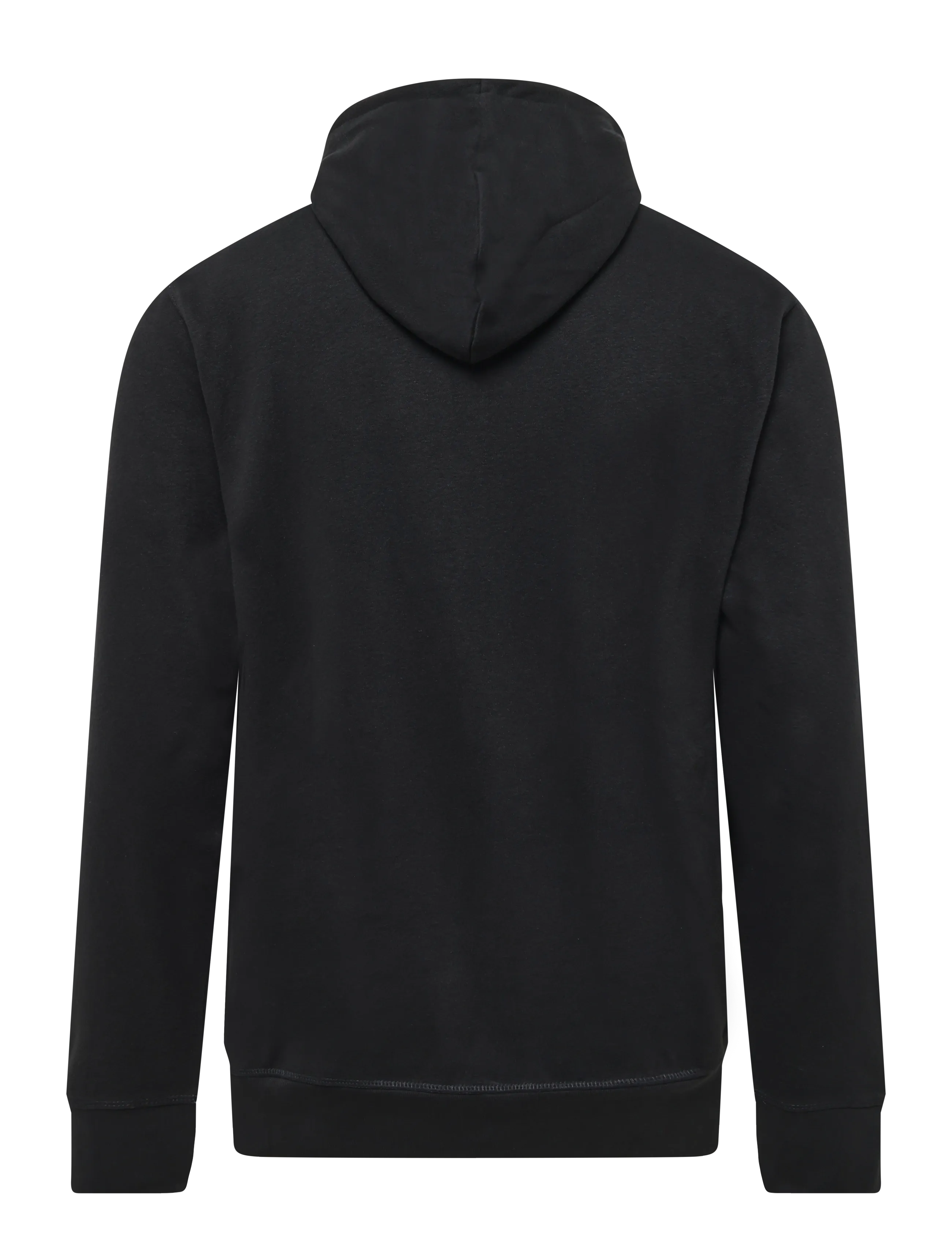 U.S. Polo Assn. - OTTO REG USPA M SWEAT - kapuzenpullover - tap shoe - 1