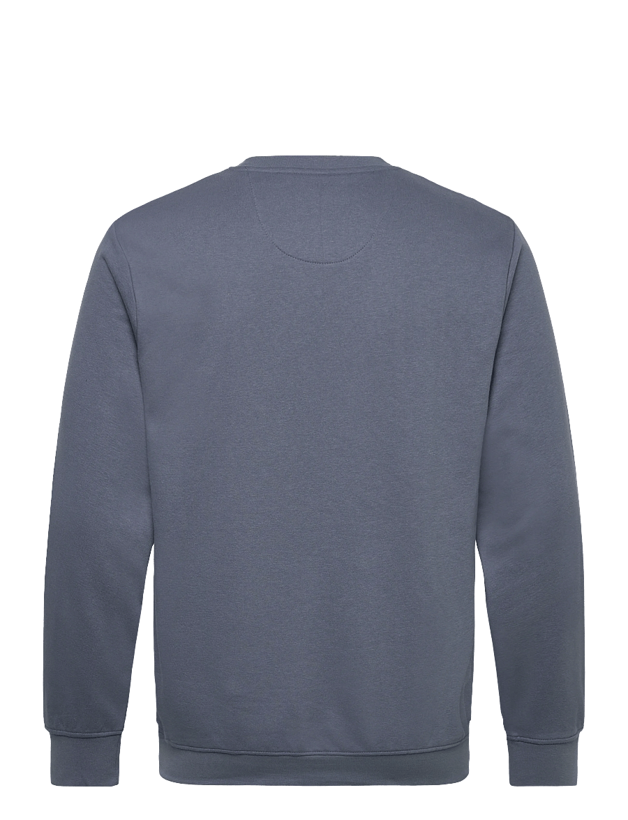 U.S. Polo Assn. - TAIS REG COT PE USPA M SWEAT - sweatshirts - 18-3918tcx china blue - 2