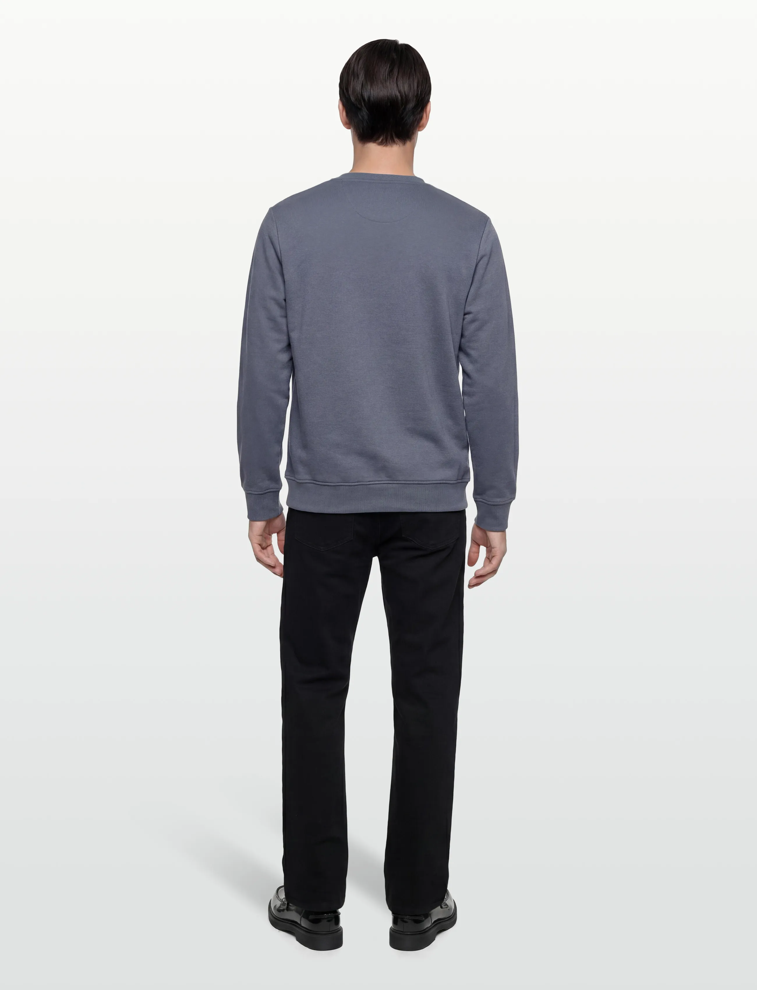 U.S. Polo Assn. - TAIS REG COT PE USPA M SWEAT - collections - 18-3918tcx china blue - 4