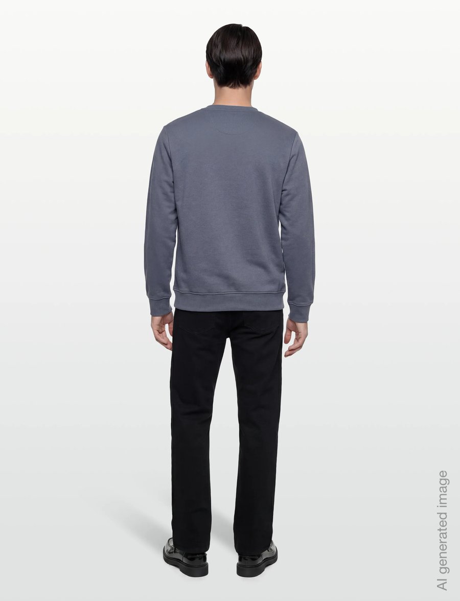 U.S. Polo Assn. - TAIS REG COT PE USPA M SWEAT - sweatshirts - 18-3918tcx china blue - 4