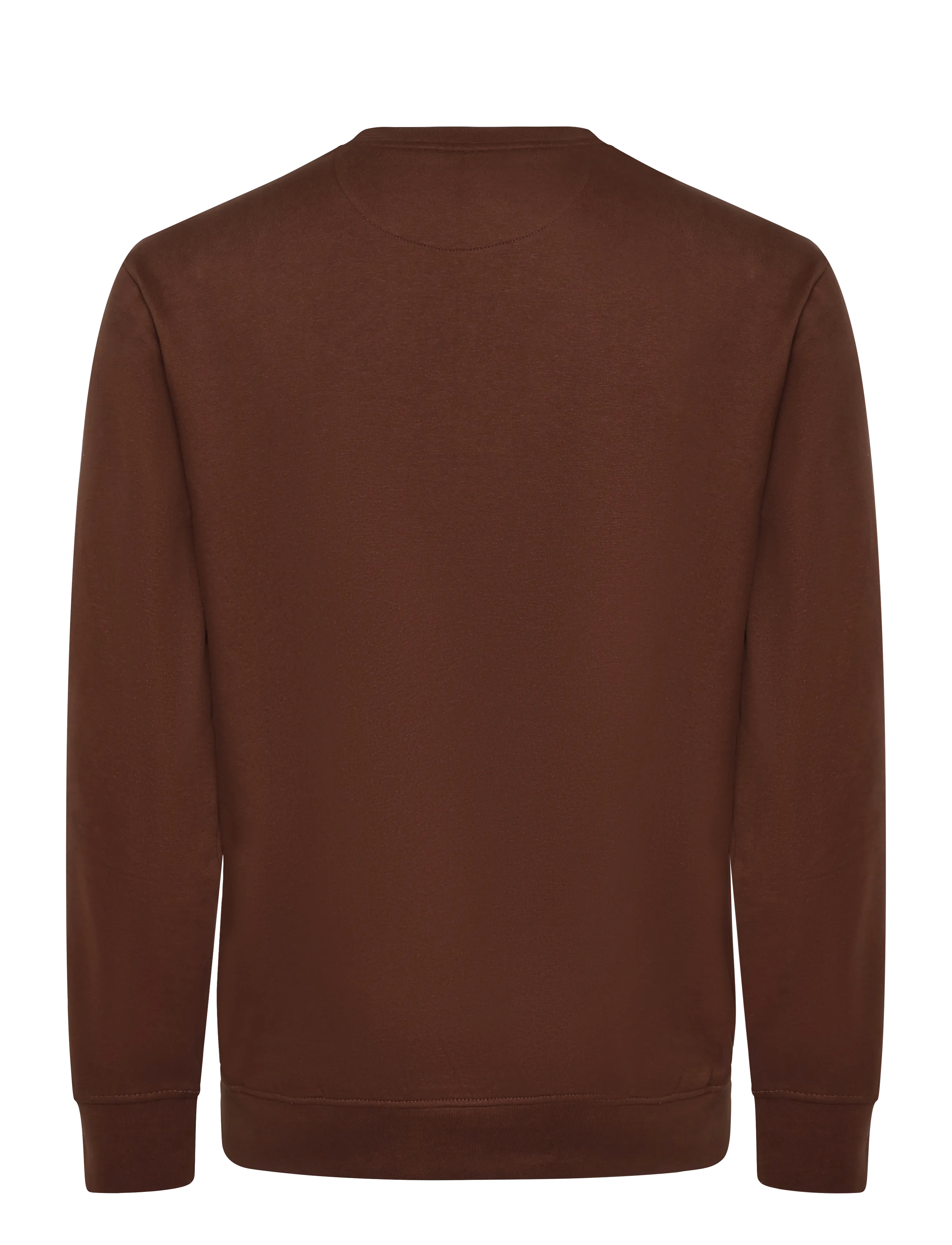 U.S. Polo Assn. - TAIS REG COT PE USPA M SWEAT - sweatshirts - chestnut - 1