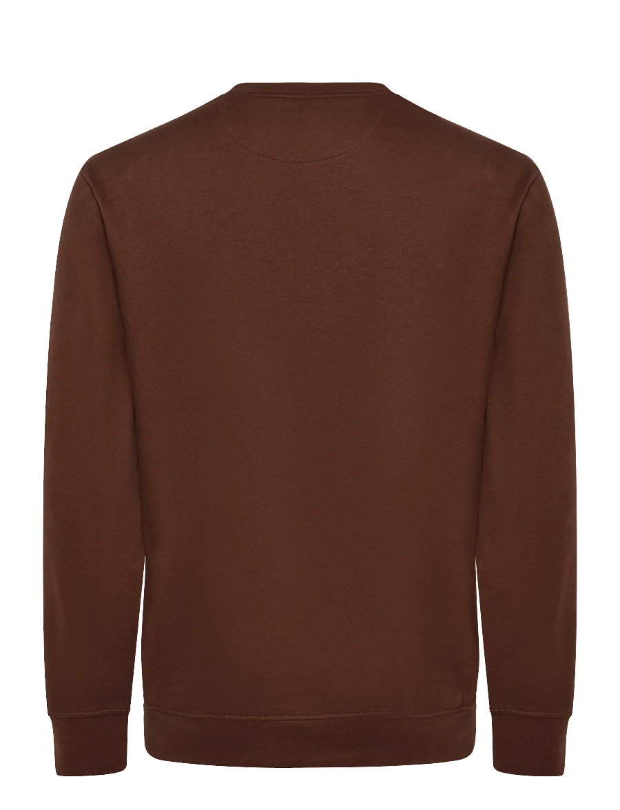 U.S. Polo Assn. - TAIS REG COT PE USPA M SWEAT - sweatshirts - chestnut - 1