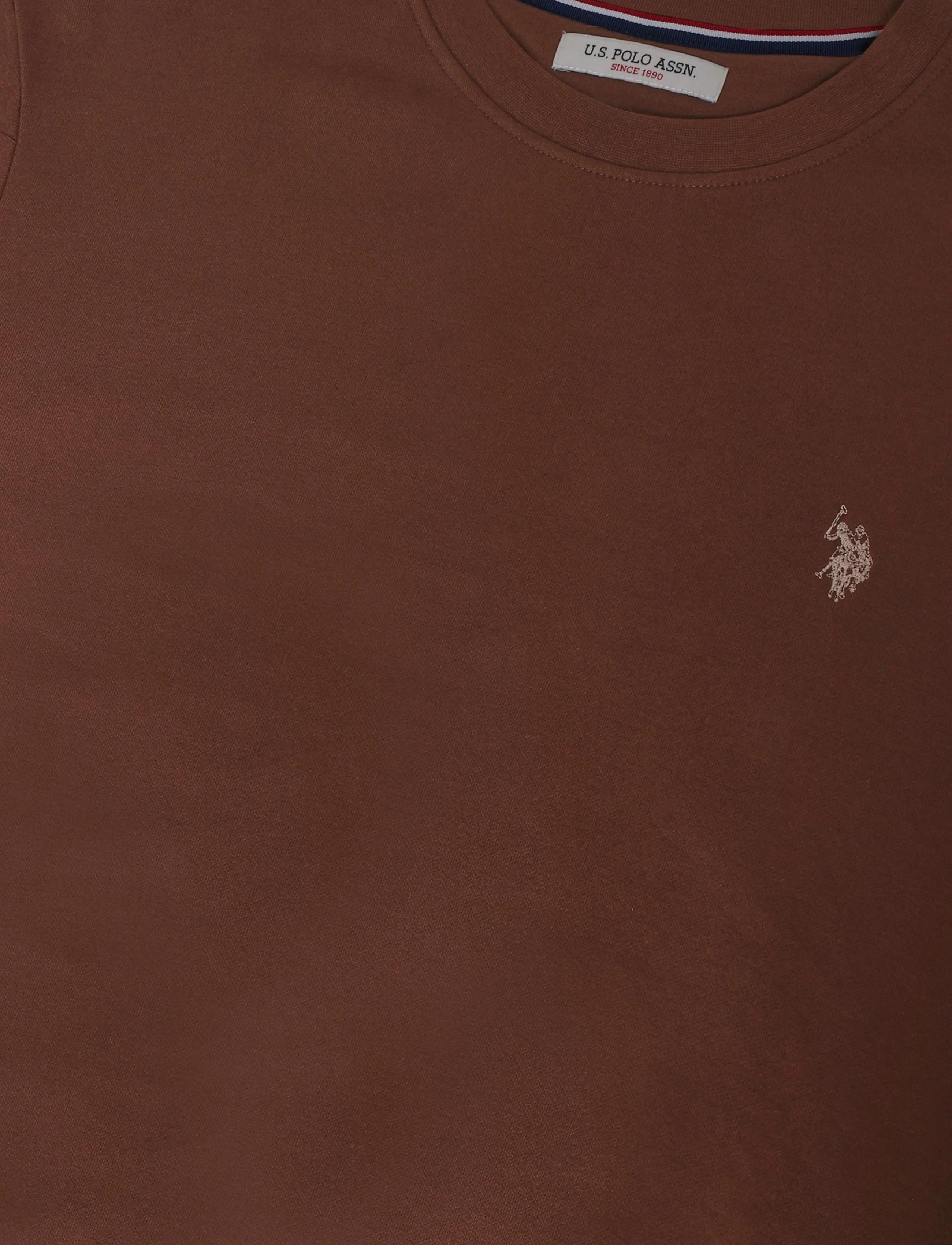 U.S. Polo Assn. - TAIS REG COT PE USPA M SWEAT - sweatshirts - chestnut - 2