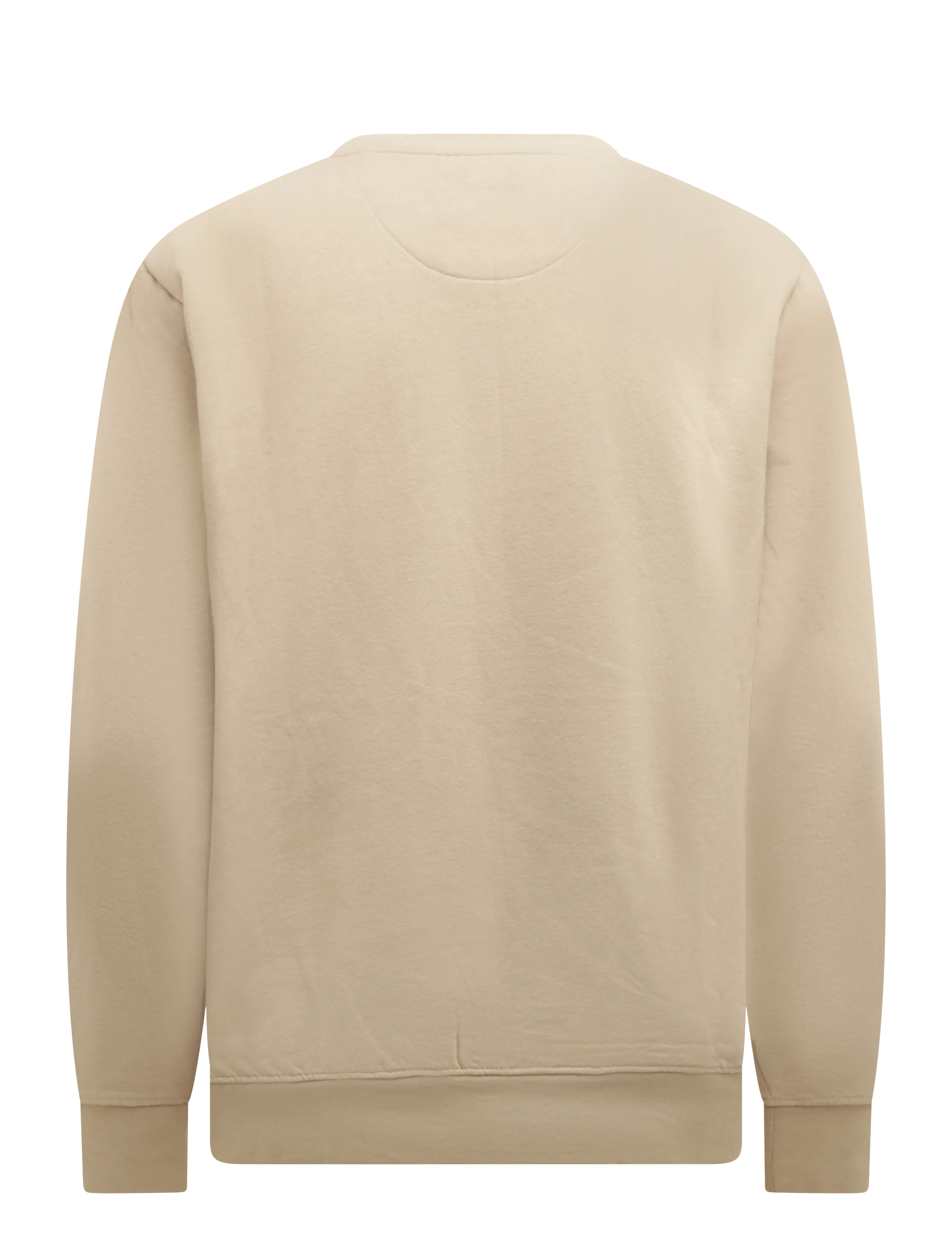 U.S. Polo Assn. - TAIS REG COT PE USPA M SWEAT - dressipluusid - crockery - 1