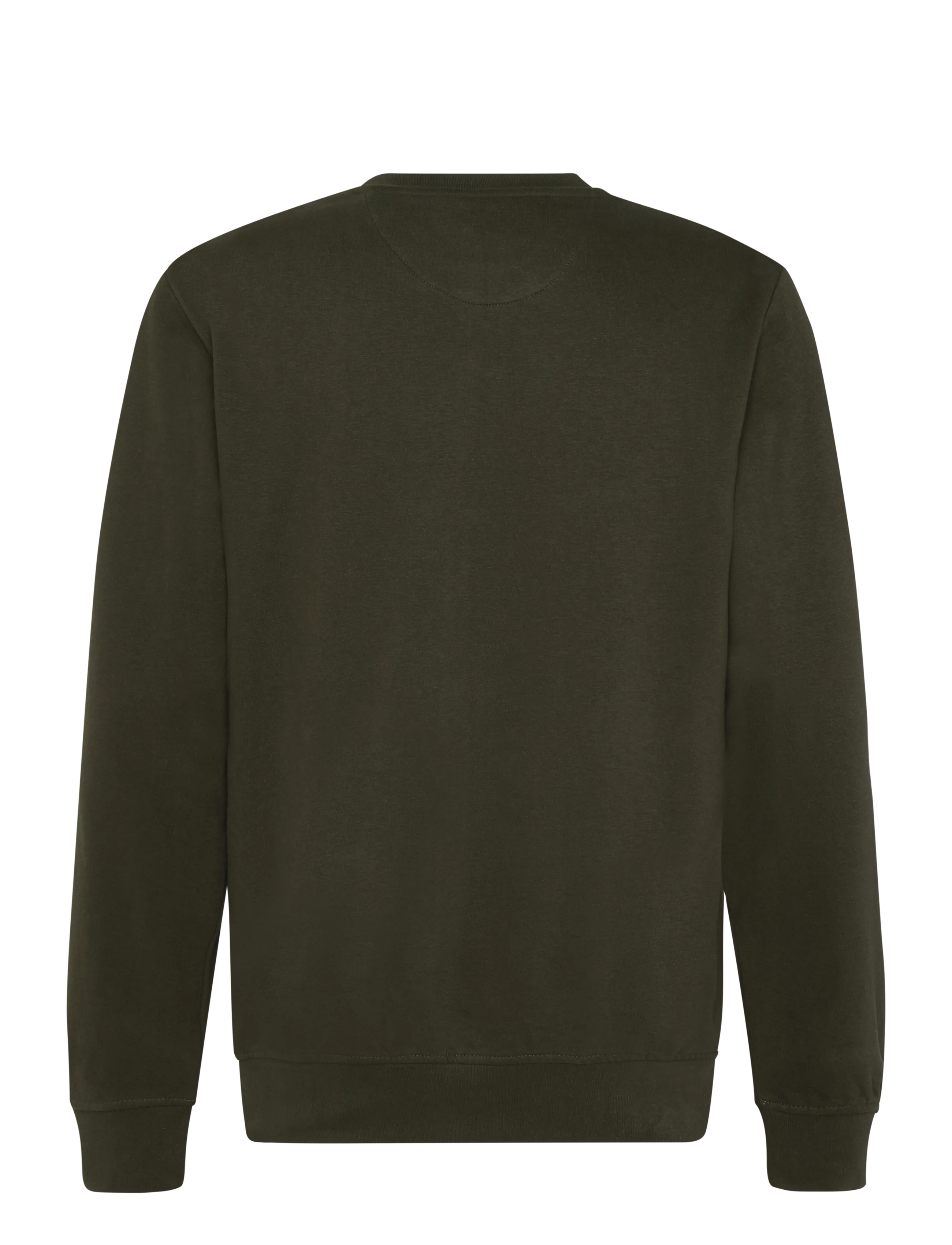 U.S. Polo Assn. - TAIS REG COT PE USPA M SWEAT - sweatshirts - forest night - 1