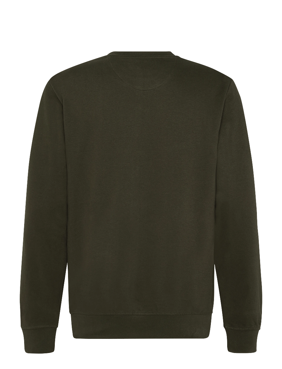 U.S. Polo Assn. - TAIS REG COT PE USPA M SWEAT - sweatshirts - forest night - 1