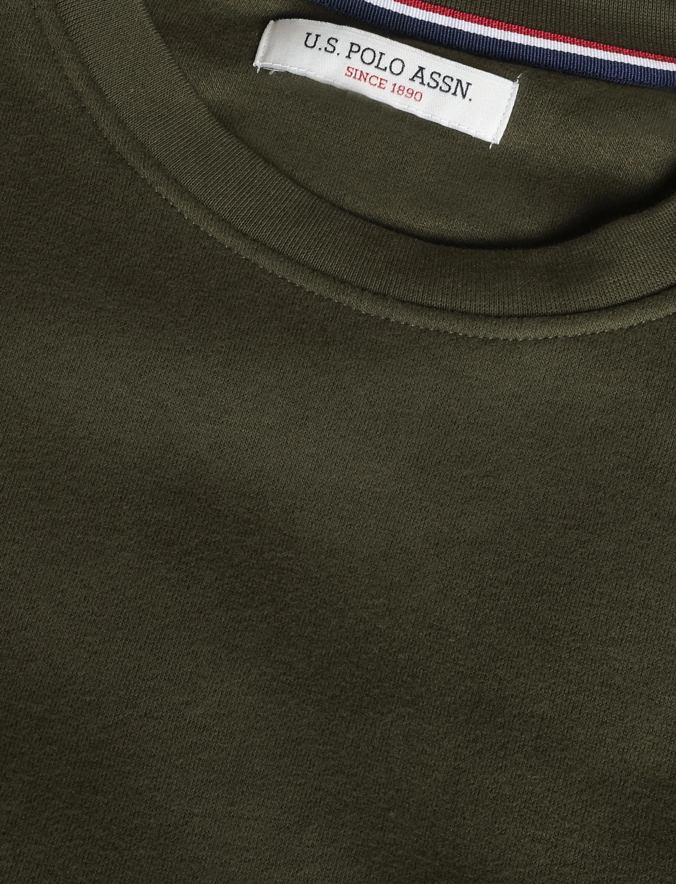 U.S. Polo Assn. - TAIS REG COT PE USPA M SWEAT - sweatshirts - forest night - 2