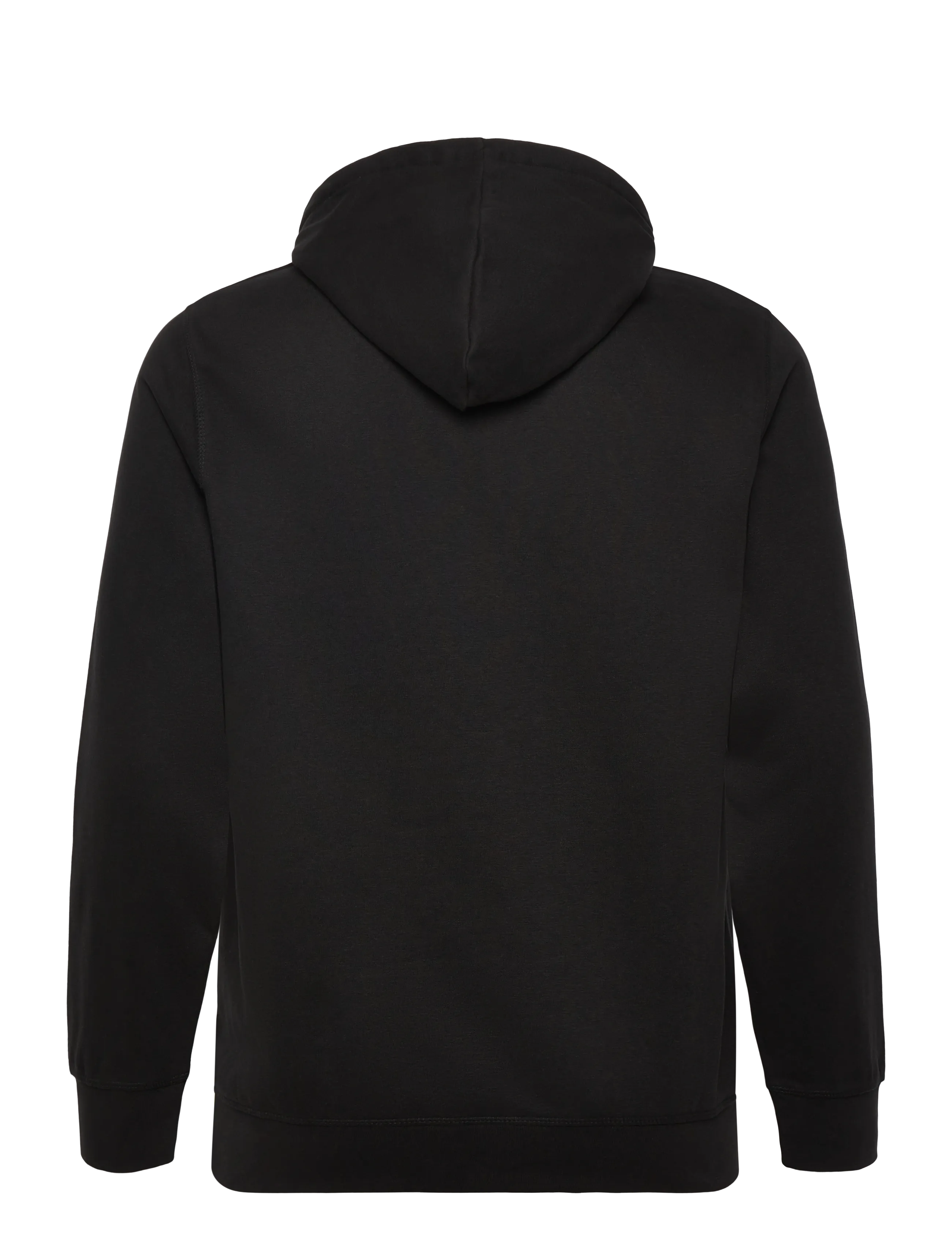 U.S. Polo Assn. - TOKE REG HO COT PE USP M SWEAT - hættetrøjer - tap shoe - 2
