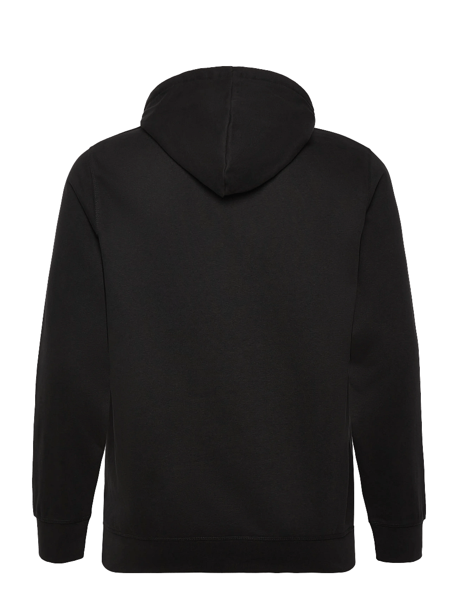 U.S. Polo Assn. - TOKE REG HO COT PE USP M SWEAT - hoodies - tap shoe - 2