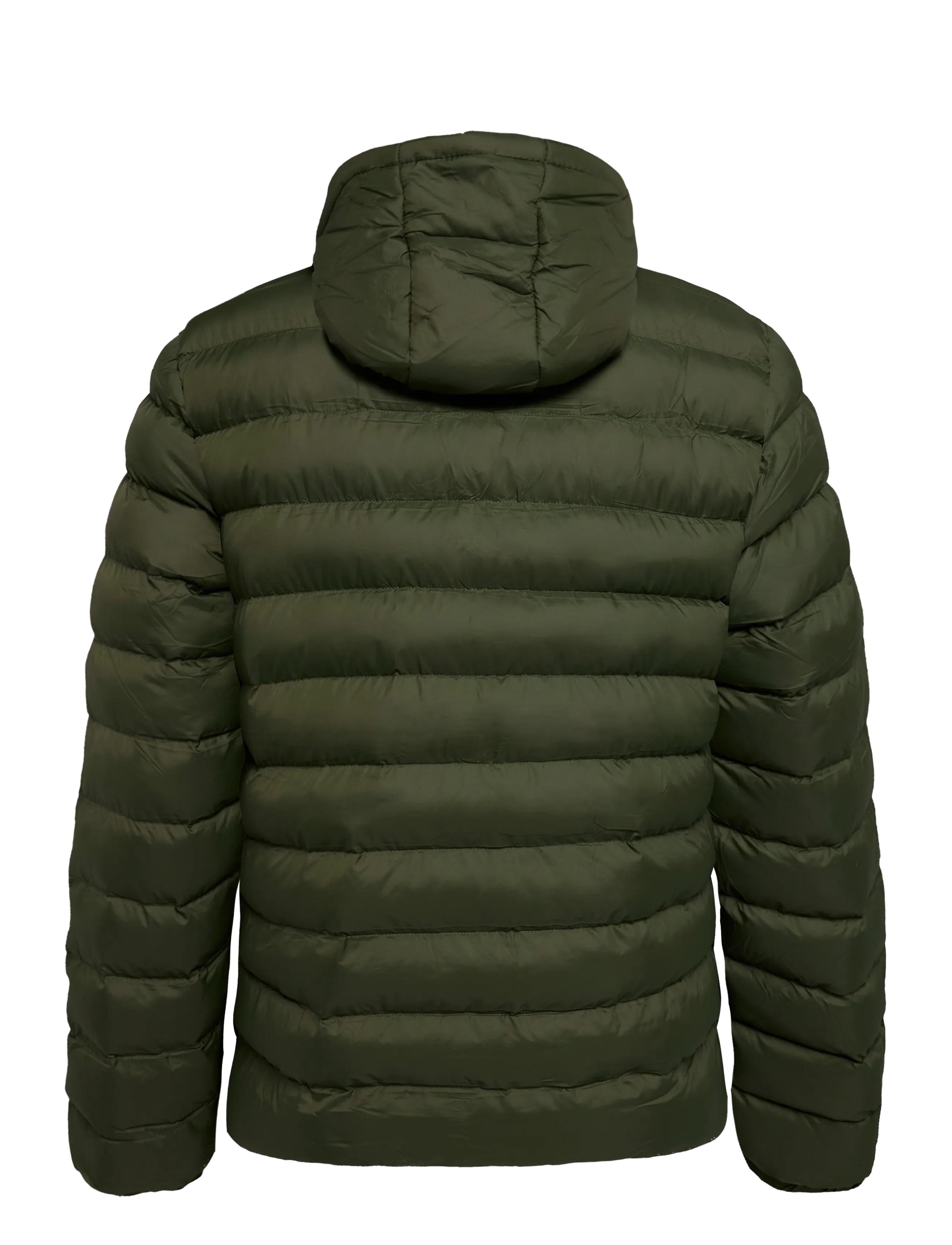 U.S. Polo Assn. - ARTUR REG TH HO USPA M OTW - daunenjacken - forest night - 1