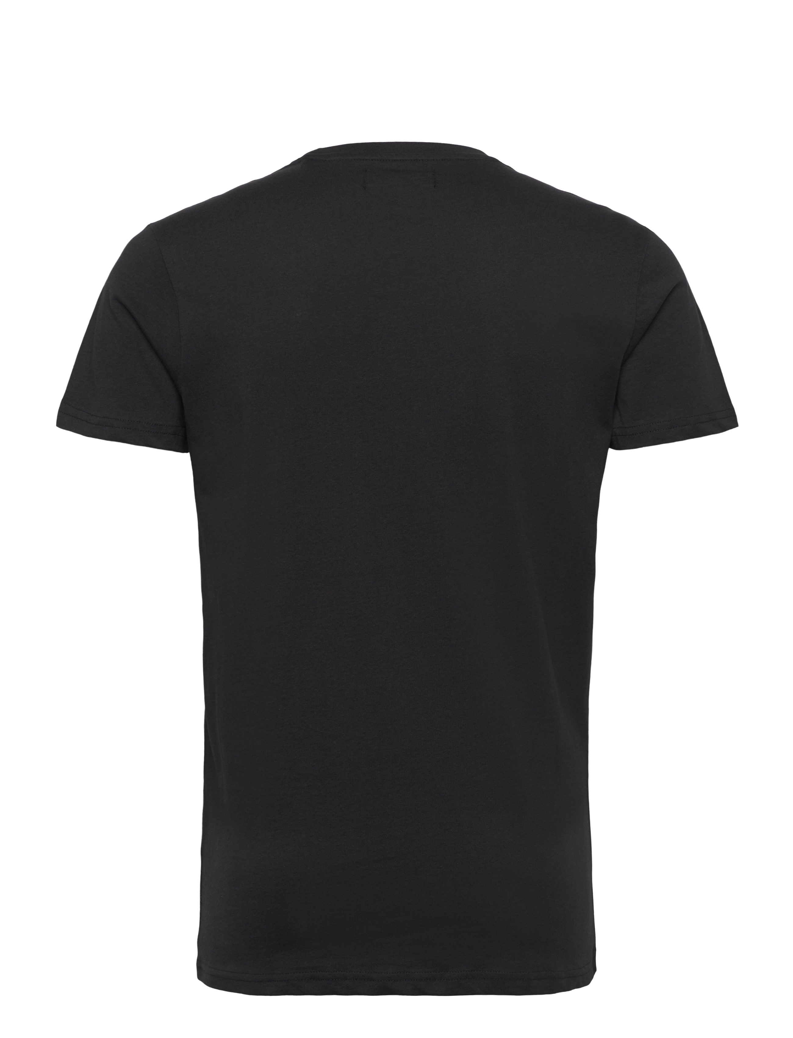U.S. Polo Assn. - BERTIL REG SJ USPA M TEE - laveste priser - tap shoe - 1