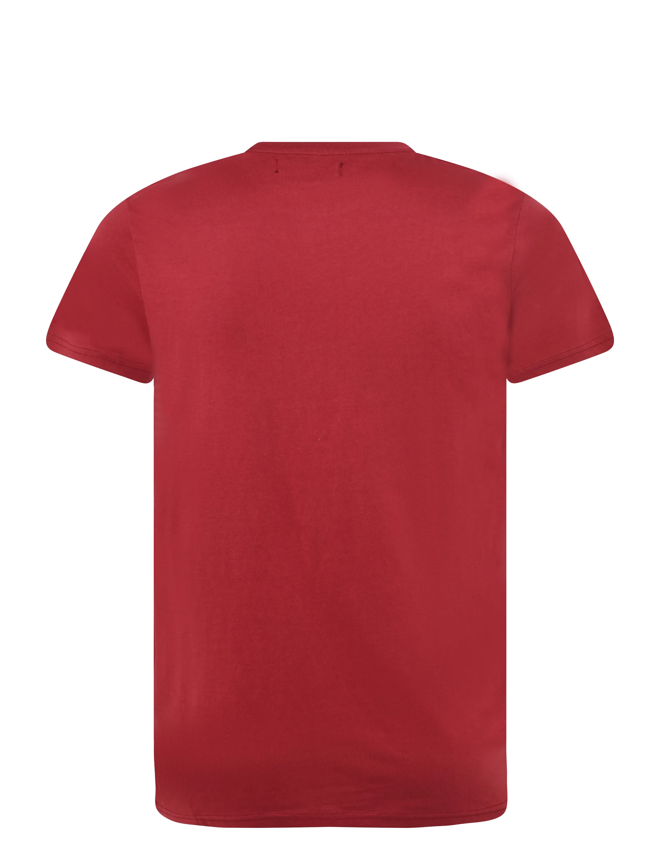 U.S. Polo Assn. - BERTIL REG SJ USPA M TEE - t-shirts - tibetan red - 1