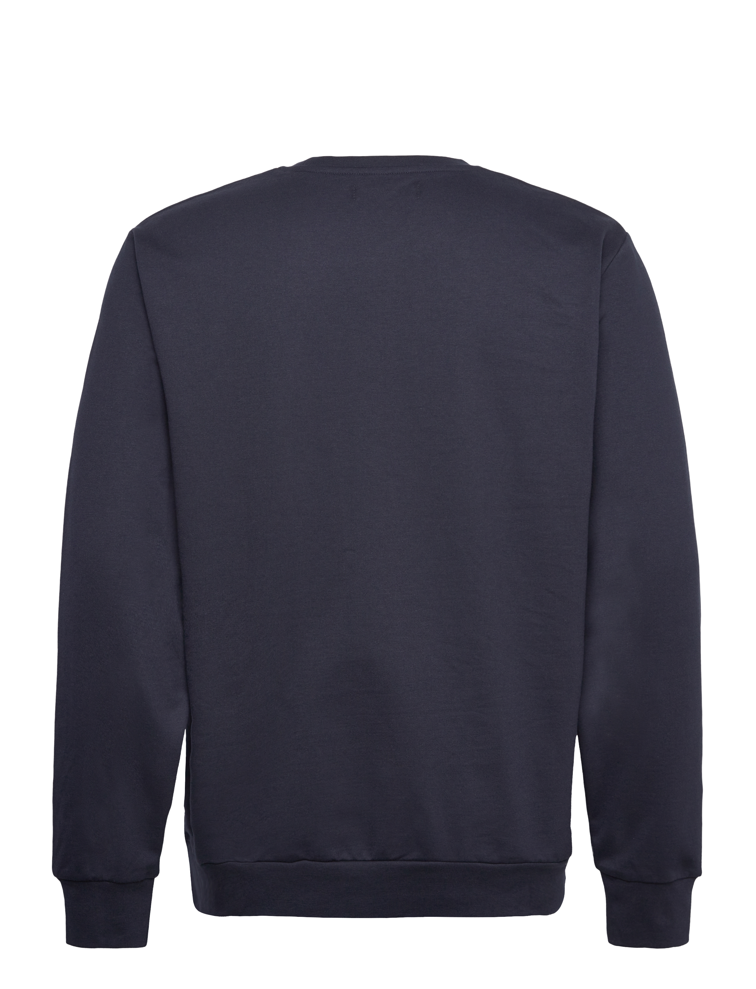 U.S. Polo Assn. - BIRK REG CW USPA M SWEAT - sweatshirts - dark sapphire - 1