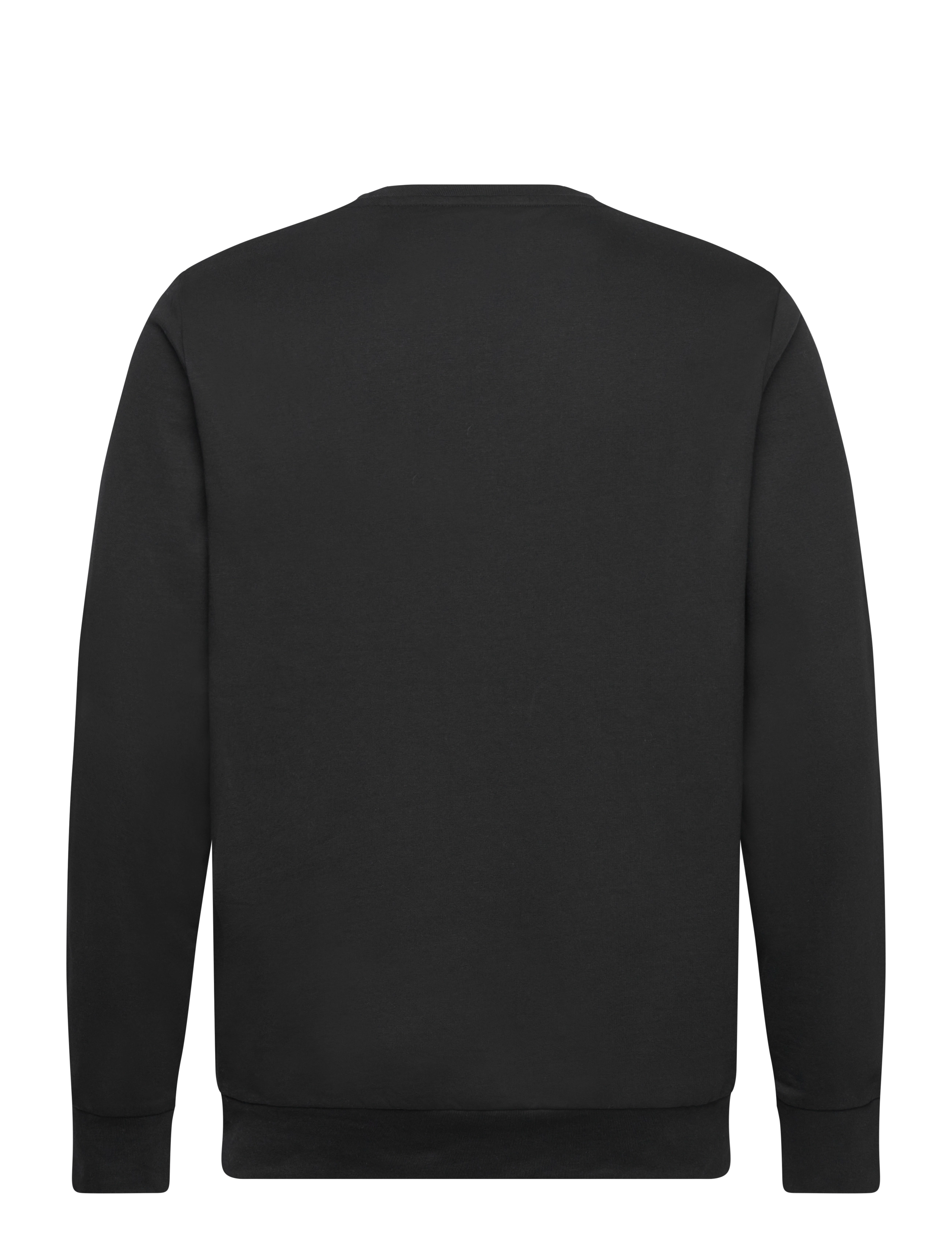 U.S. Polo Assn. - BIRK REG CW USPA M SWEAT - sweatshirts - tap shoe - 1