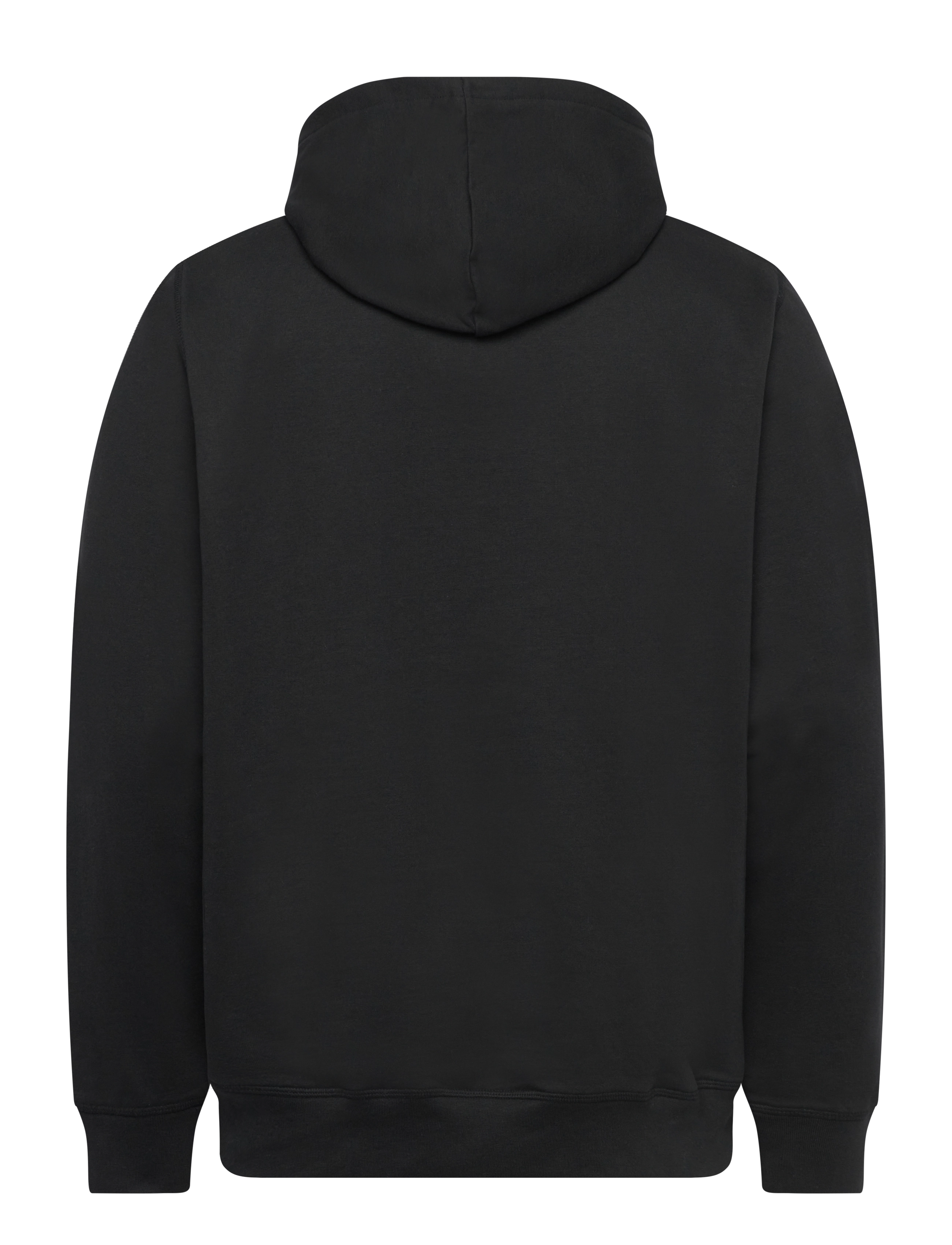 U.S. Polo Assn. - BENJI REG HO USPA M SWEAT - sweatshirts - tap shoe - 1